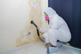 Best Emergency Mold Remediation  in Carlisle Rockledge, AL